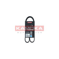 Curea transmisie caneluri KAMOKA 7014060