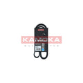 Curea transmisie caneluri KAMOKA 7016100