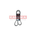 Curea transmisie caneluri KAMOKA 7017014