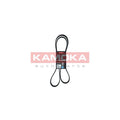 Curea transmisie caneluri KAMOKA 7017029