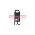 Curea transmisie caneluri KAMOKA 7015027