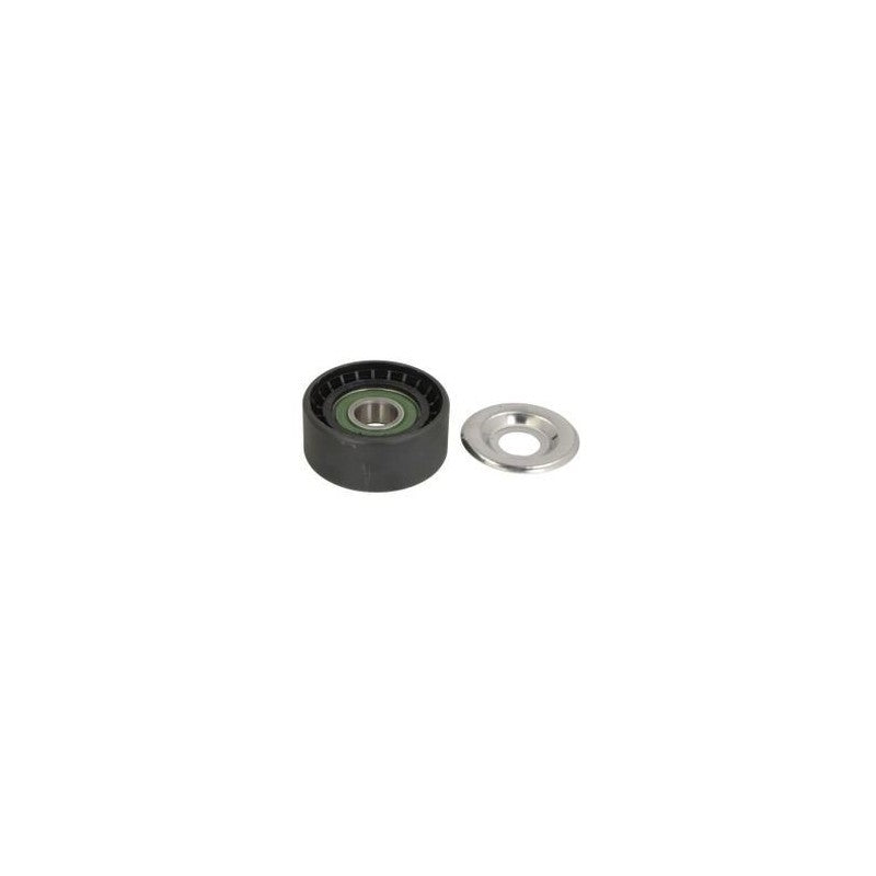 Rola intinzatoare curea accesorii MTR 12191268