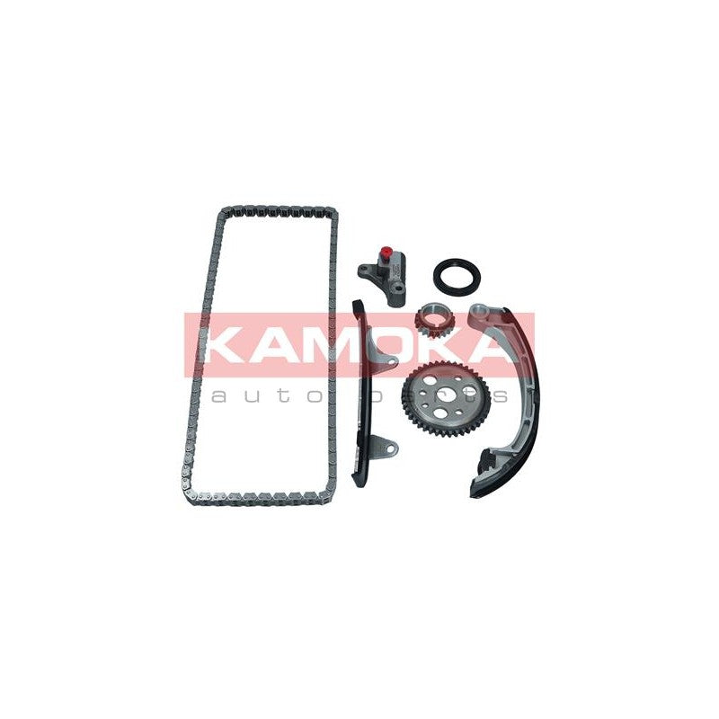 Kit lant distributie KAMOKA 7001654