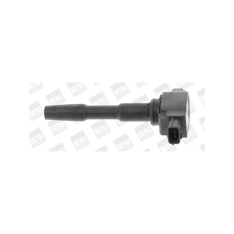 Bobina inductie BorgWarner (BERU) ZSE131