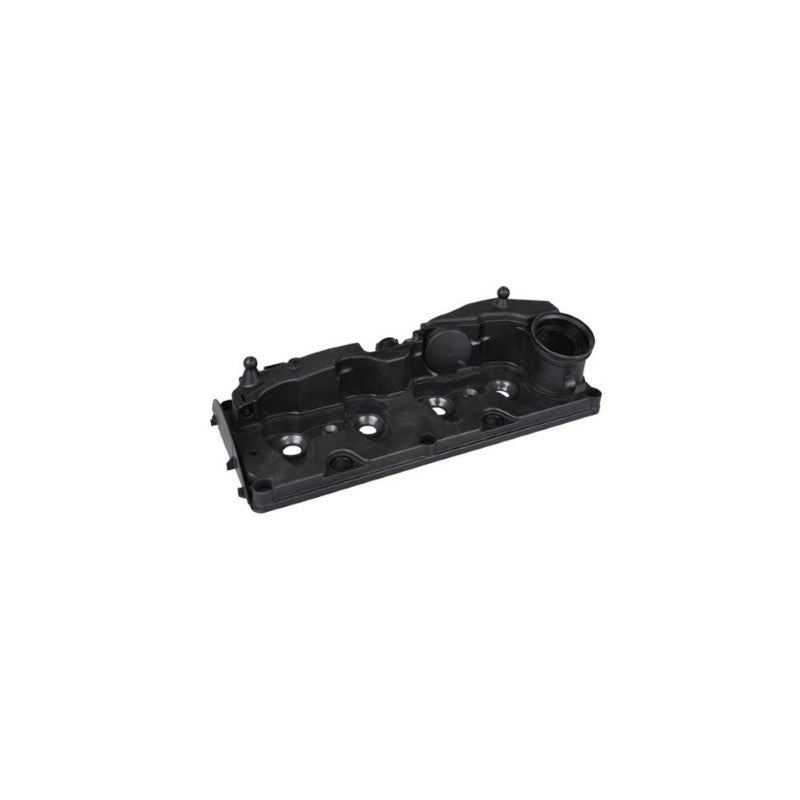 Capac culbutori MTR 12170498