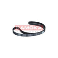 Curea distributie KAMOKA 7000046