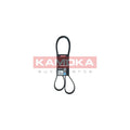 Curea transmisie caneluri KAMOKA 7017020