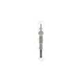 Bujie incandescenta BorgWarner (BERU) GN005