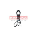 Curea transmisie caneluri KAMOKA 7017048