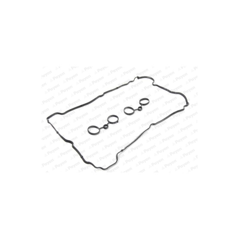 Set garnituri capac culbutori PAYEN HM5371