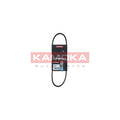 Curea transmisie caneluri KAMOKA 7013003