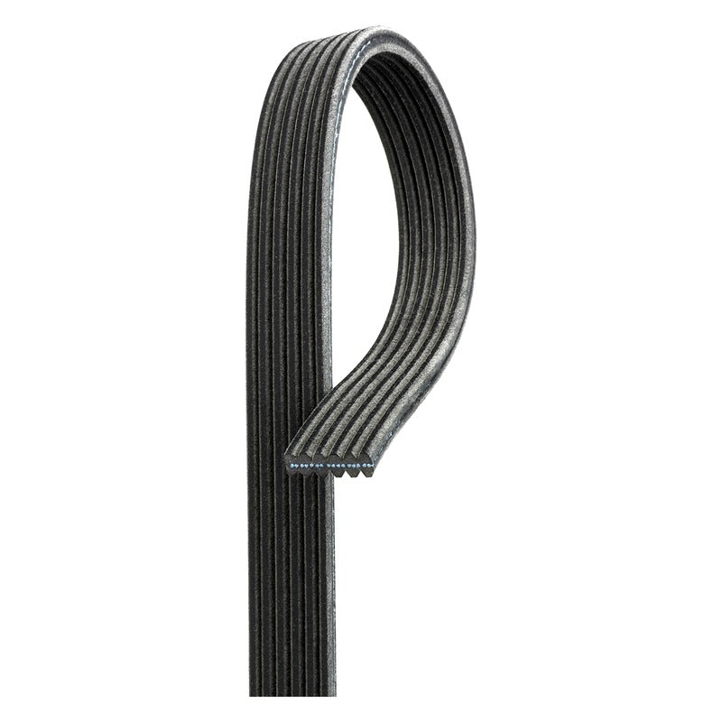 Curea transmisie caneluri DAYCO 6DPK1215