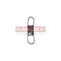 Curea transmisie caneluri KAMOKA 7013013