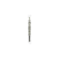 Bujie incandescenta BorgWarner (BERU) GN019