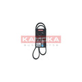 Curea transmisie caneluri KAMOKA 7016063