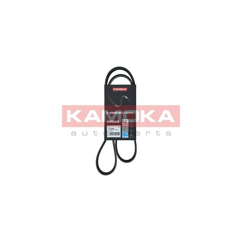 Curea transmisie caneluri KAMOKA 7016063