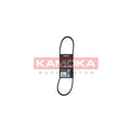 Curea transmisie caneluri KAMOKA 7014013