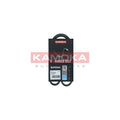 Curea transmisie caneluri KAMOKA 7014014