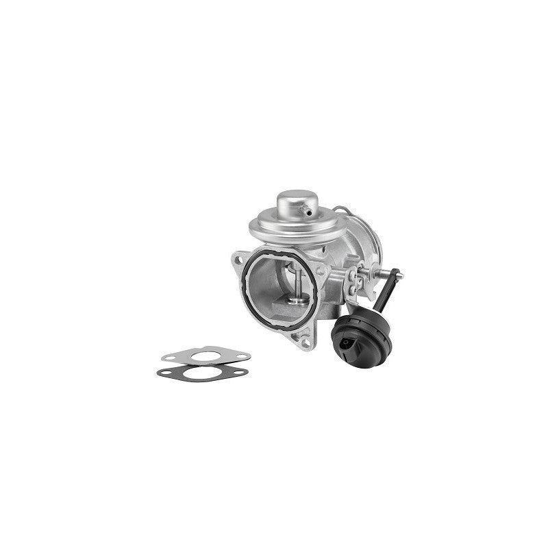 Supapa EGR BorgWarner 7371D