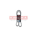 Curea transmisie caneluri KAMOKA 7016101