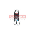 Curea transmisie caneluri KAMOKA 7014068
