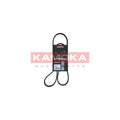 Curea transmisie caneluri KAMOKA 7014071