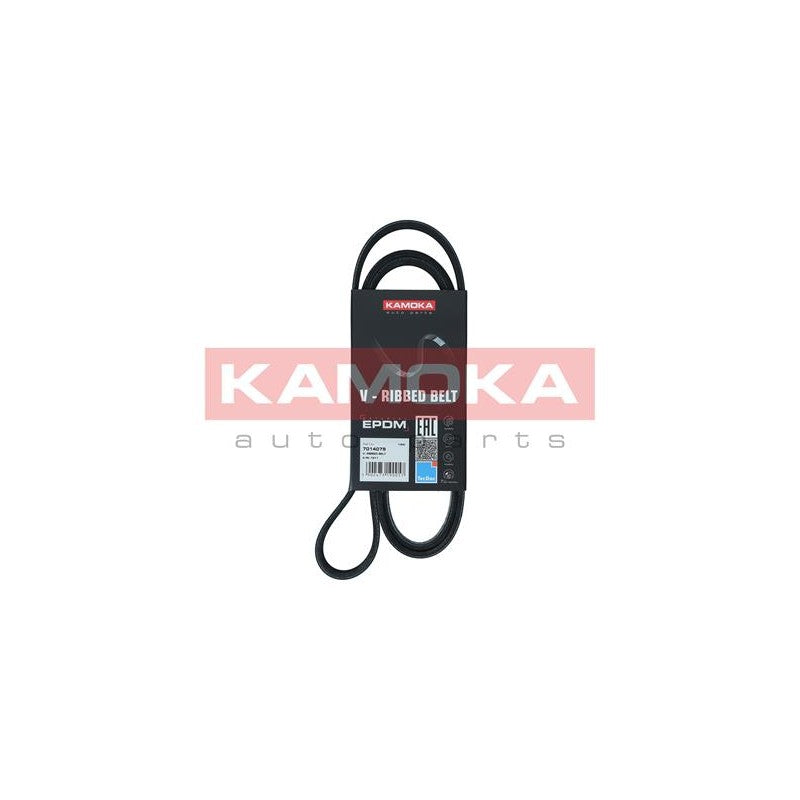 Curea transmisie caneluri KAMOKA 7014079