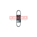 Curea transmisie caneluri KAMOKA 7015004