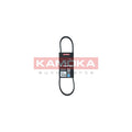Curea transmisie caneluri KAMOKA 7015007