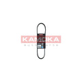 Curea transmisie caneluri KAMOKA 7015008