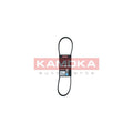 Curea transmisie caneluri KAMOKA 7015012