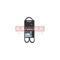Curea transmisie caneluri KAMOKA 7015013