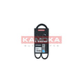 Curea transmisie caneluri KAMOKA 7015016