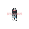 Curea transmisie caneluri KAMOKA 7015021