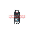 Curea transmisie caneluri KAMOKA 7015023