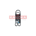 Curea transmisie caneluri KAMOKA 7015032