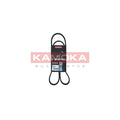 Curea transmisie caneluri KAMOKA 7015041
