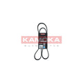 Curea transmisie caneluri KAMOKA 7015064