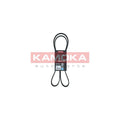 Curea transmisie caneluri KAMOKA 7015071
