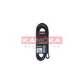Curea transmisie caneluri KAMOKA 7016234