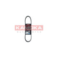 Curea transmisie caneluri KAMOKA 7016005