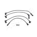 Set fise bujii Ashika 132-0W-W22