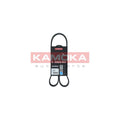 Curea transmisie caneluri KAMOKA 7016038