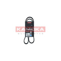 Curea transmisie caneluri KAMOKA 7016049