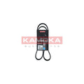 Curea transmisie caneluri KAMOKA 7016059