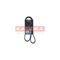 Curea transmisie caneluri KAMOKA 7016067