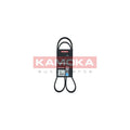 Curea transmisie caneluri KAMOKA 7016075