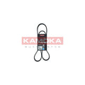 Curea transmisie caneluri KAMOKA 7016094