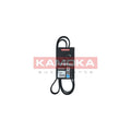 Curea transmisie caneluri KAMOKA 7016121
