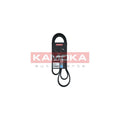 Curea transmisie caneluri KAMOKA 7016139